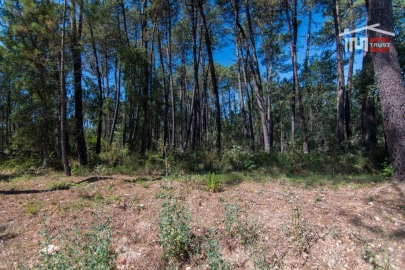 Terreno Agricola ou Rústico para Venda em São Mamede