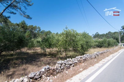 Terreno Agricola ou Rústico para Venda em São Mamede