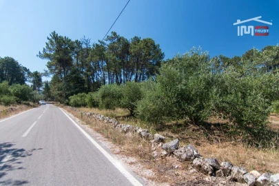 Terreno Agricola ou Rústico para Venda em São Mamede