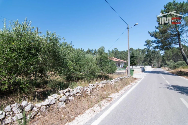 Terreno Agricola ou Rústico para Venda em São Mamede Foto 5
