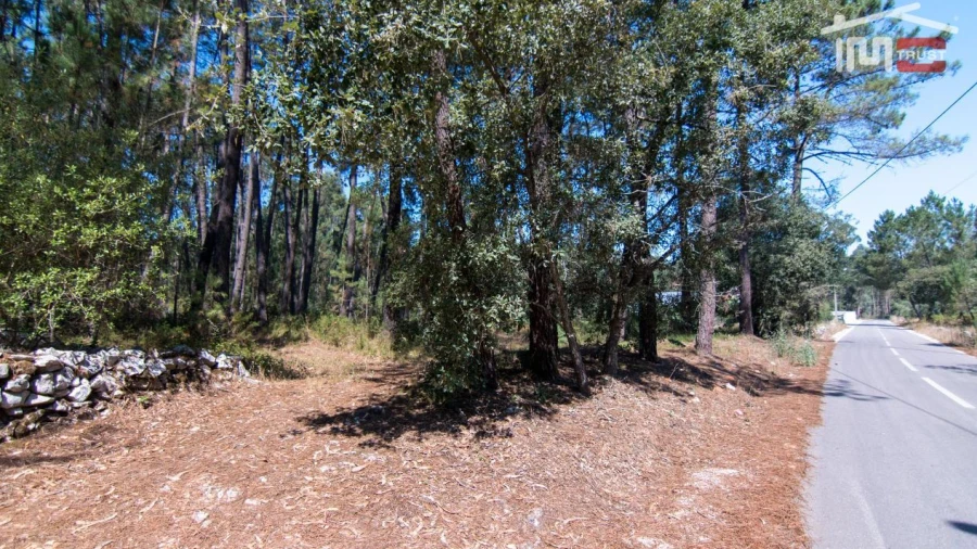 Terreno Agricola ou Rústico para Venda em São Mamede