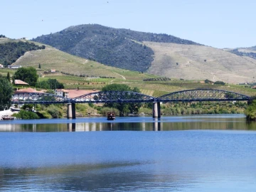 Quinta para Venda em Pinhão