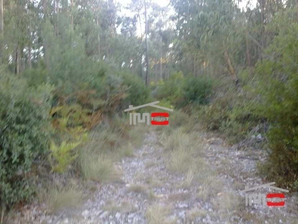 Terreno Misto para Venda em Fatima Foto 1