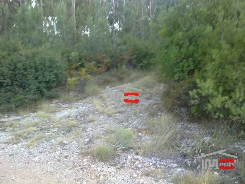 Terreno Misto para Venda em Fatima Foto 6