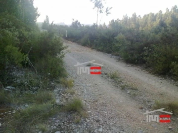 Terreno Misto para Venda em Fatima