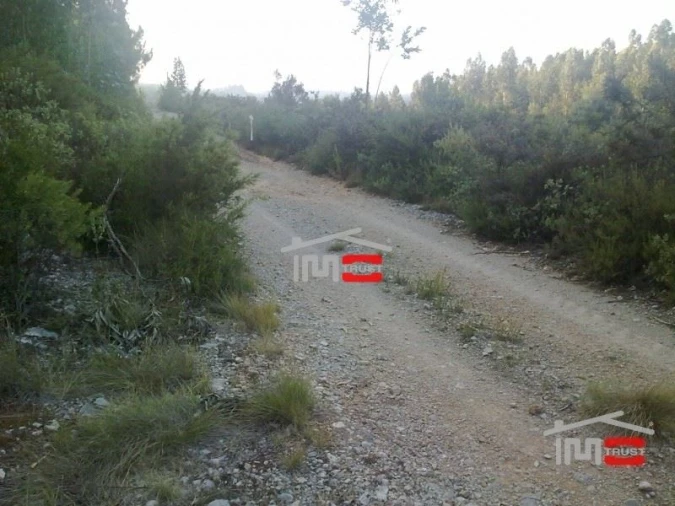 Terreno Misto para Venda em Fatima Foto 3