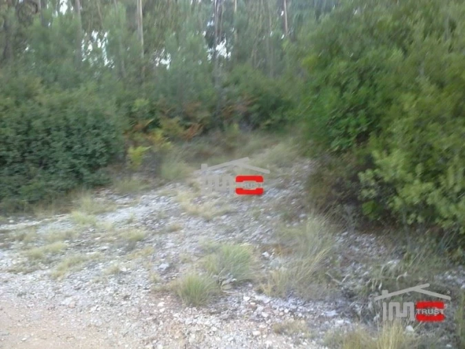 Terreno Misto para Venda em Fatima Foto 6