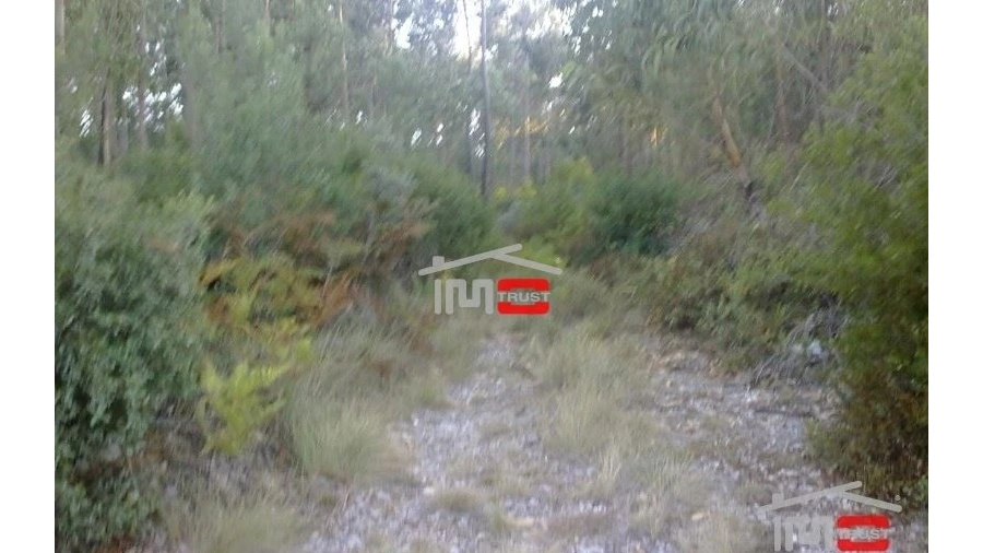 Terreno Misto para Venda em Fatima