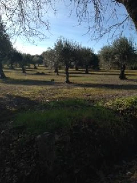 Terreno para Venda em Assunção, Ajuda, Salvador e Santo Ildefonso