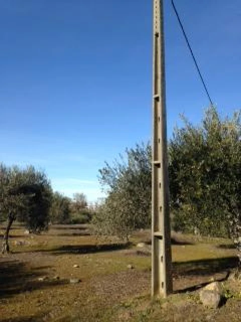 Terreno para Venda em Assunção, Ajuda, Salvador e Santo Ildefonso