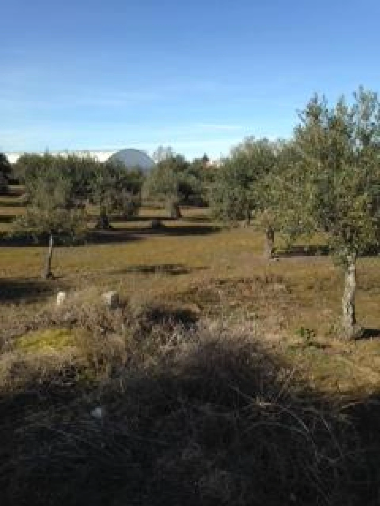 Terreno para Venda em Assunção, Ajuda, Salvador e Santo Ildefonso Foto 3