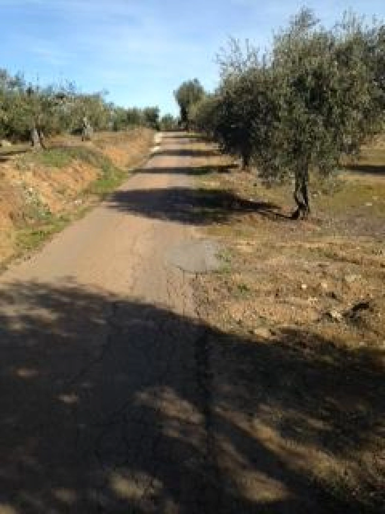 Terreno para Venda em Assunção, Ajuda, Salvador e Santo Ildefonso Foto 4