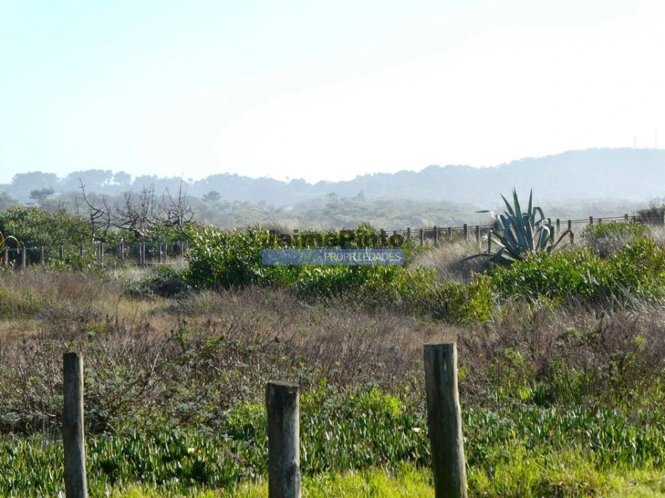 Terreno para Venda em Afife Foto 5