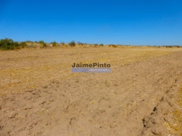 Terreno Agricola ou Rústico para Venda em Figueira de Castelo Rodrigo