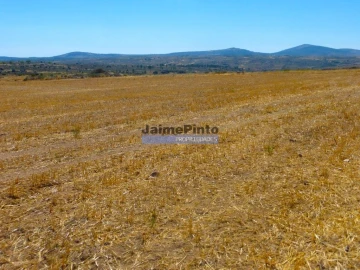 Terreno Agricola ou Rústico para Venda em Figueira de Castelo Rodrigo