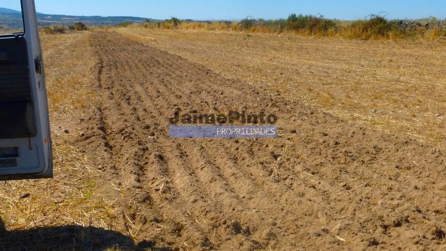 Terreno Agricola ou Rústico para Venda em Figueira de Castelo Rodrigo