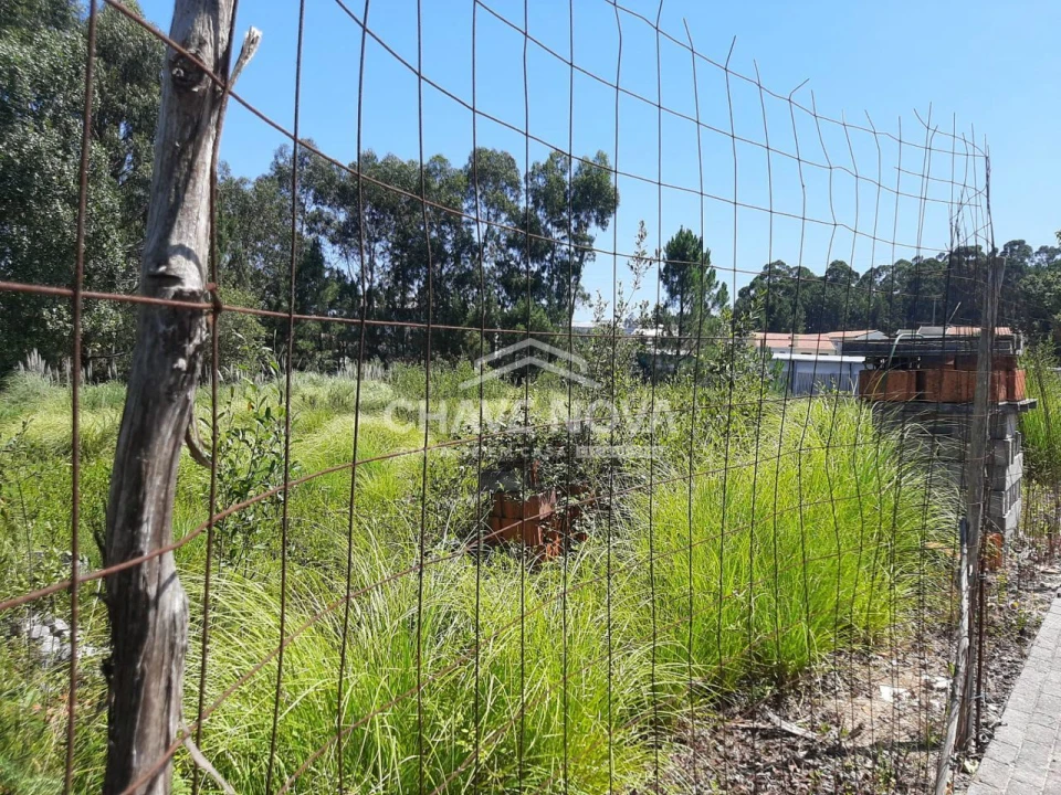 Terreno para Venda em Baguim do Monte (Rio Tinto) Foto 3