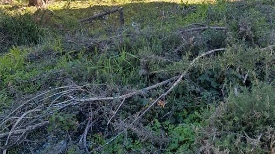 Terreno P/ Prédio para Venda em Fânzeres e São Pedro da Cova