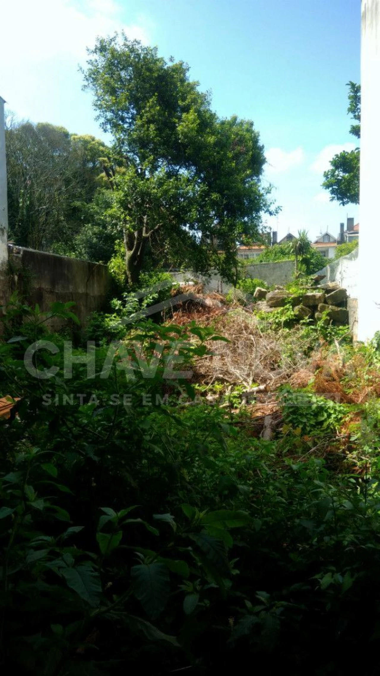 Prédio para Venda em Cedofeita, Santo Ildefonso, Sé, Miragaia, São Nicolau e Vitória Foto 1