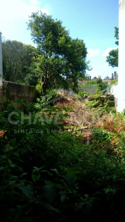 Prédio para Venda em Cedofeita, Santo Ildefonso, Sé, Miragaia, São Nicolau e Vitória