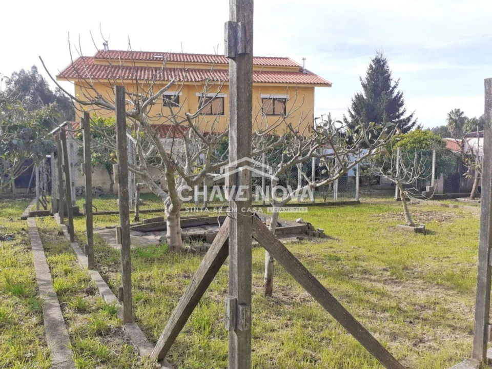 Terreno para Venda em São João de Ver Foto 8