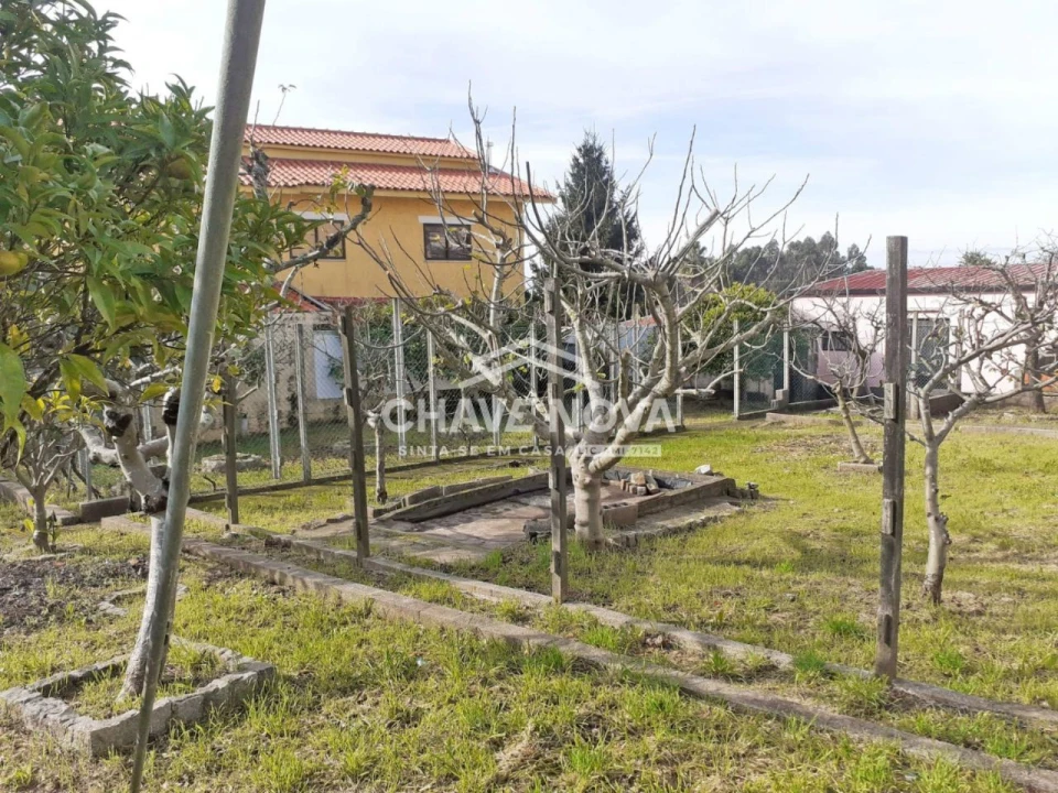Terreno para Venda em São João de Ver Foto 13