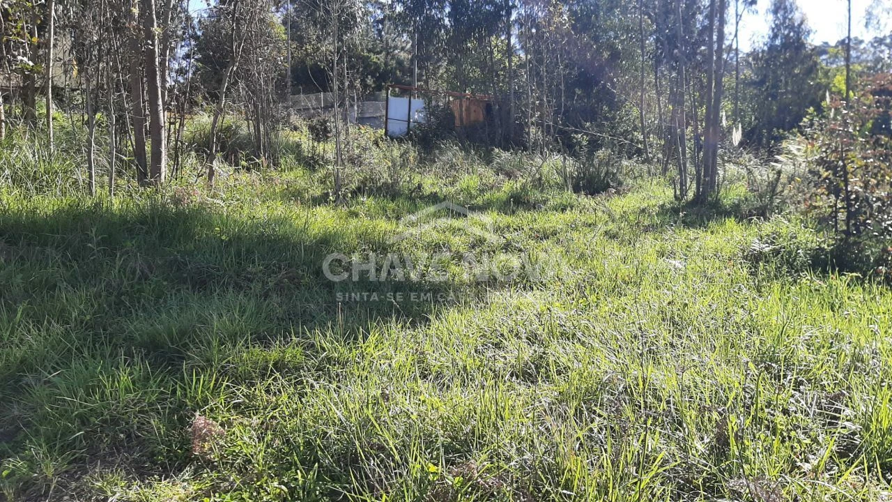 Terreno para Venda em Arcozelo Foto 6