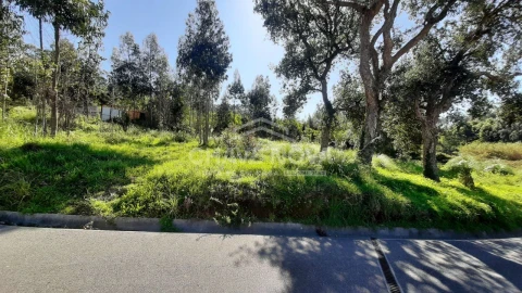 Terreno para Venda em Arcozelo