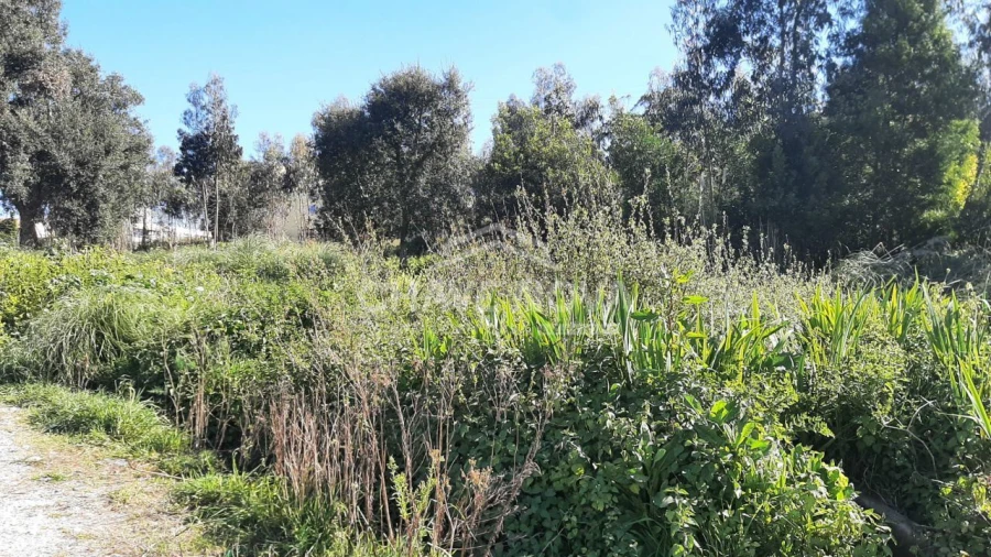 Terreno para Venda em Arcozelo Foto 5
