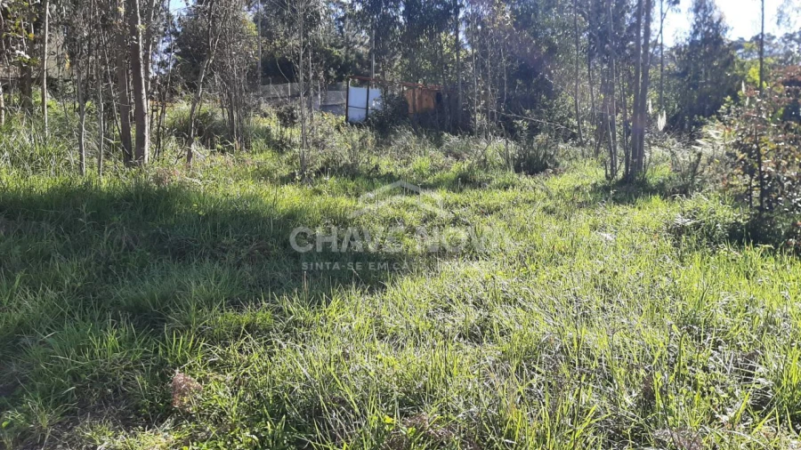 Terreno para Venda em Arcozelo Foto 6