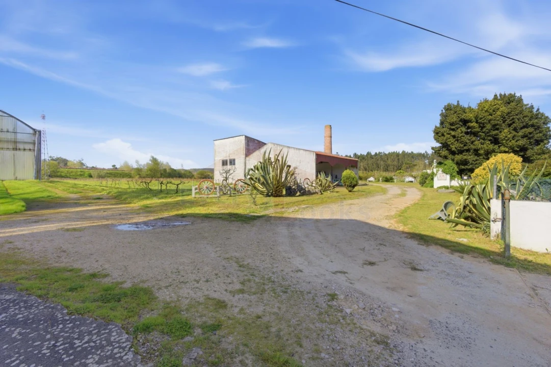 Quinta T10 para Venda em Olho Marinho Foto 32