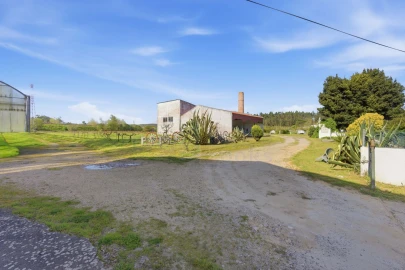 Quinta para Venda em Olho Marinho