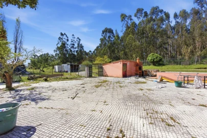 Quinta para Venda em Olho Marinho