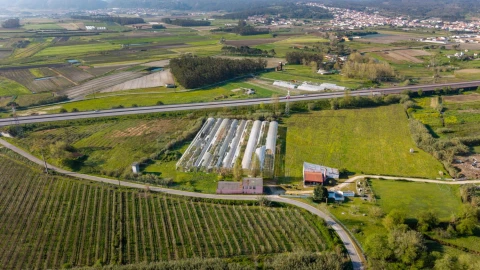 Quinta para Venda em Olho Marinho