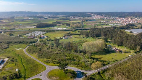 Quinta para Venda em Olho Marinho