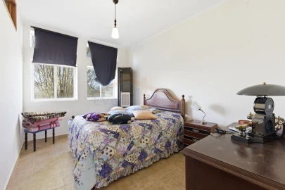 Quinta para Venda em Olho Marinho