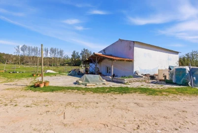 Quinta para Venda em Olho Marinho