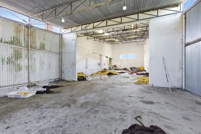 Quinta para Venda em Olho Marinho