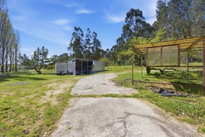 Quinta para Venda em Olho Marinho