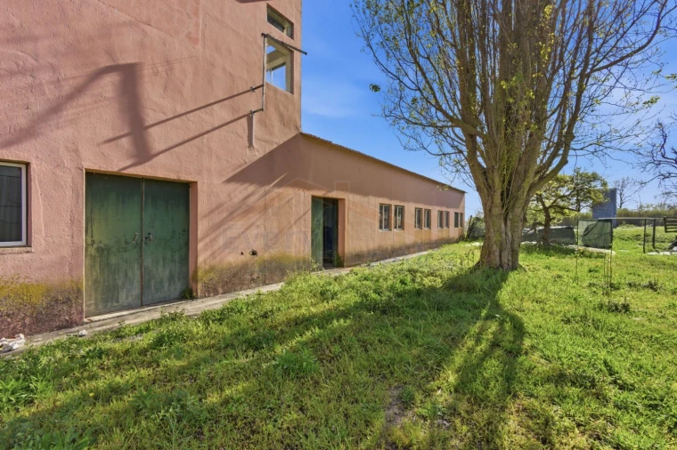 Quinta T10 para Venda em Olho Marinho Foto 33