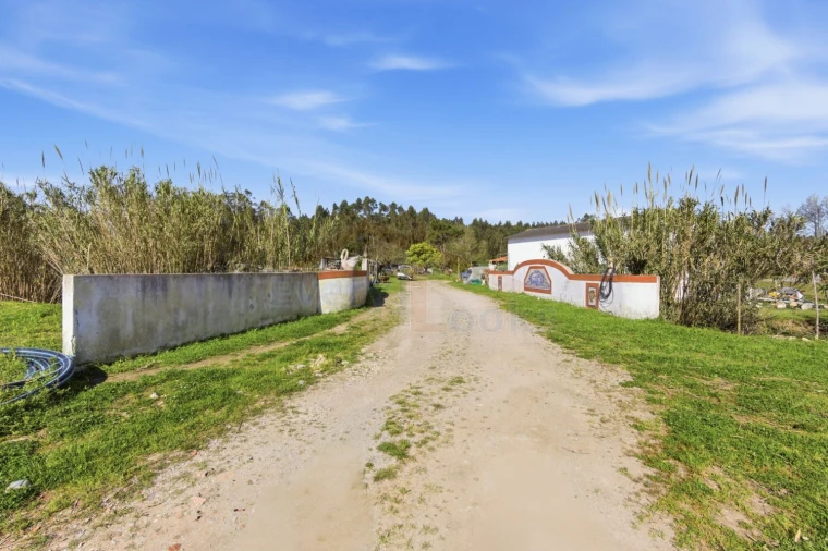 Quinta T10 para Venda em Olho Marinho Foto 6