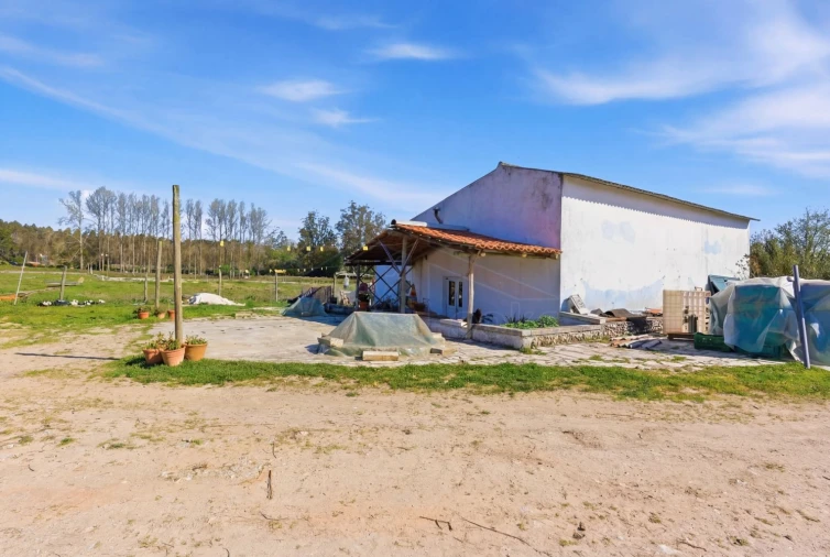 Quinta T10 para Venda em Olho Marinho Foto 4