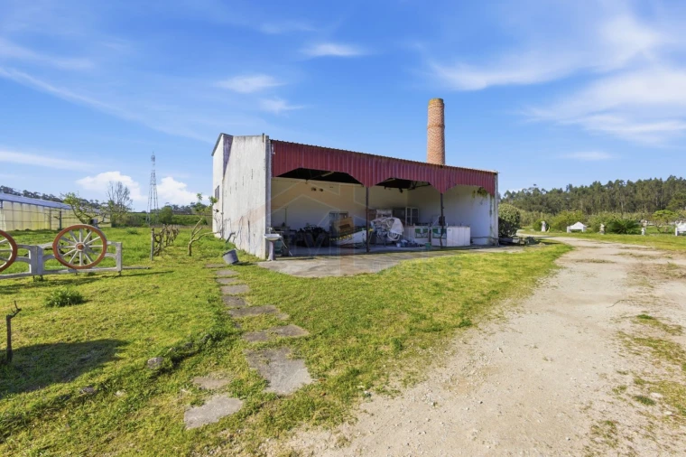 Quinta T10 para Venda em Olho Marinho Foto 7