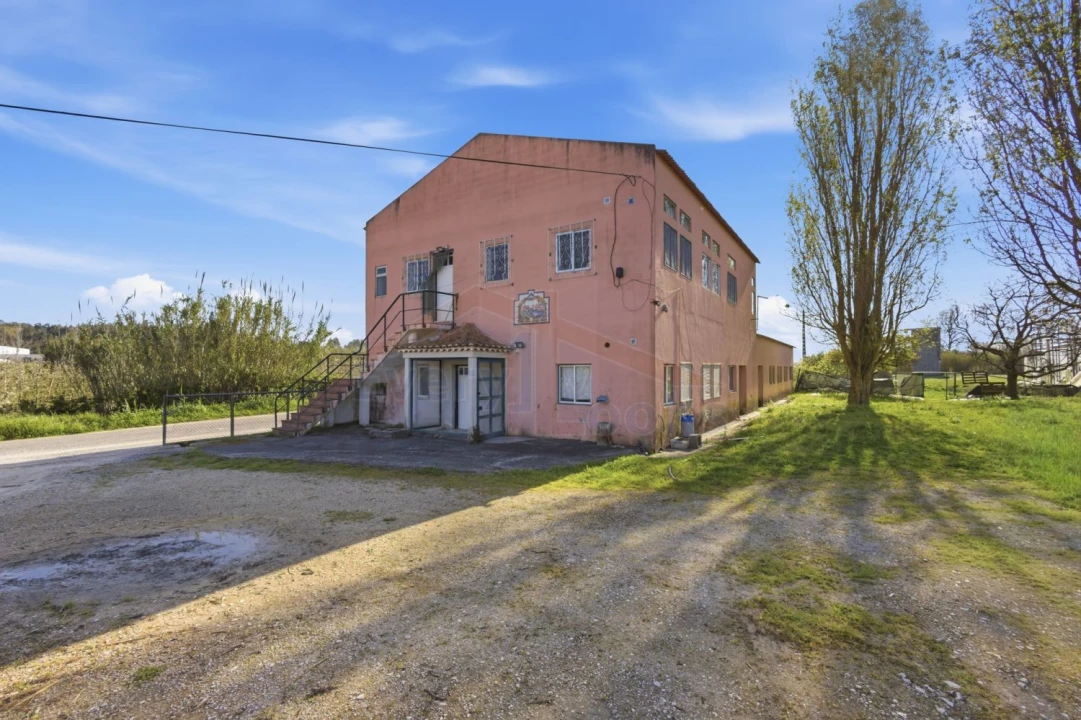 Quinta T10 para Venda em Olho Marinho Foto 55