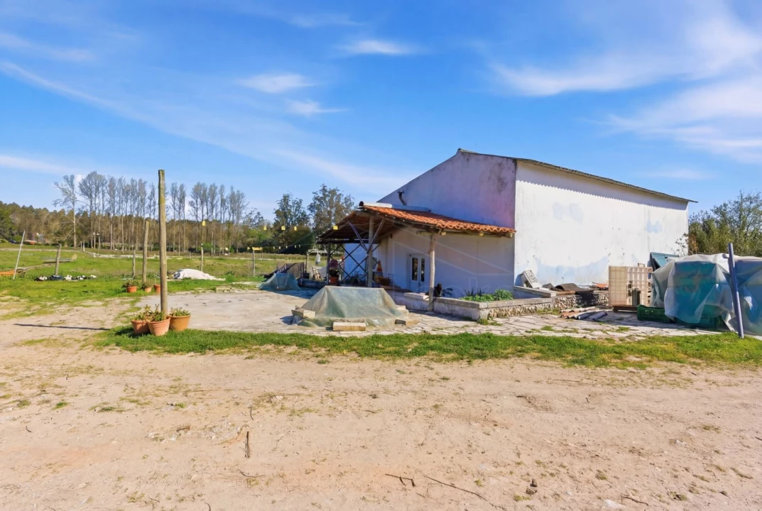 Quinta T10 para Venda em Olho Marinho Foto 4