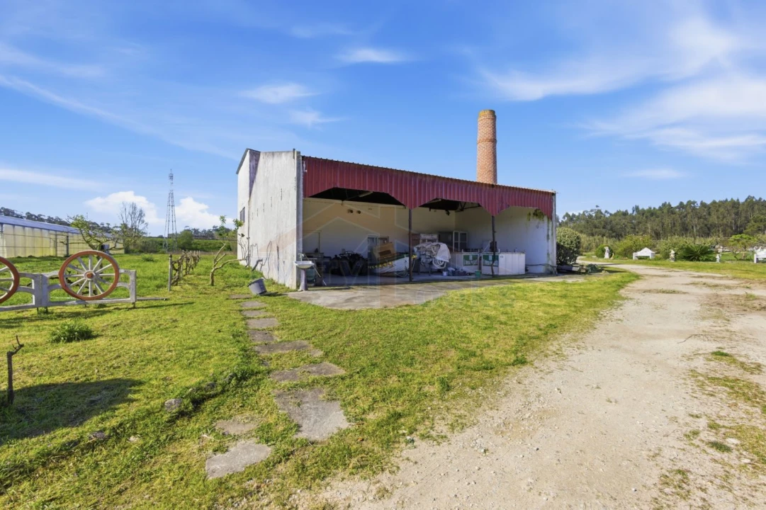 Quinta T10 para Venda em Olho Marinho Foto 7