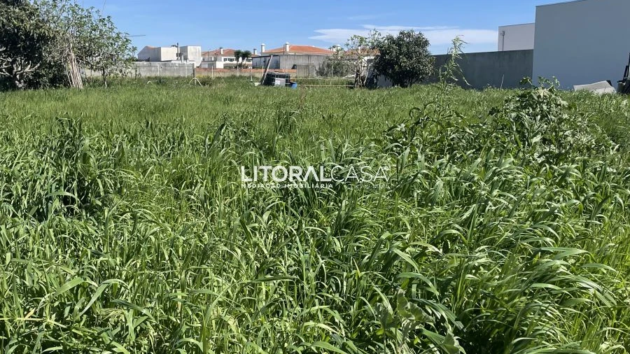 Terreno para Venda em Requeixo, Nossa Senhora de Fátima e Nariz