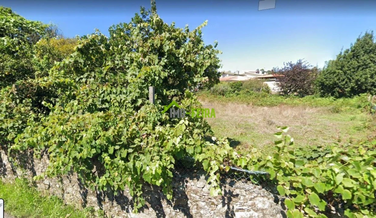 Terreno para Venda em São Miguel do Souto e Mosteirô Foto 1