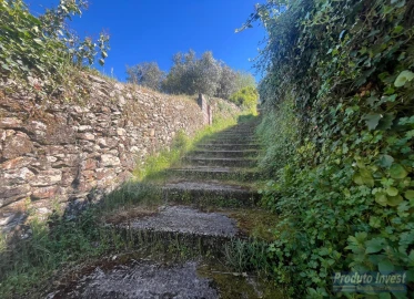 Terreno para Venda em Alcaide