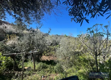Terreno para Venda em Alcaide